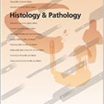img_catalog6
